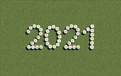 《Gori：Cuddly Carnage》剧情预告片分享